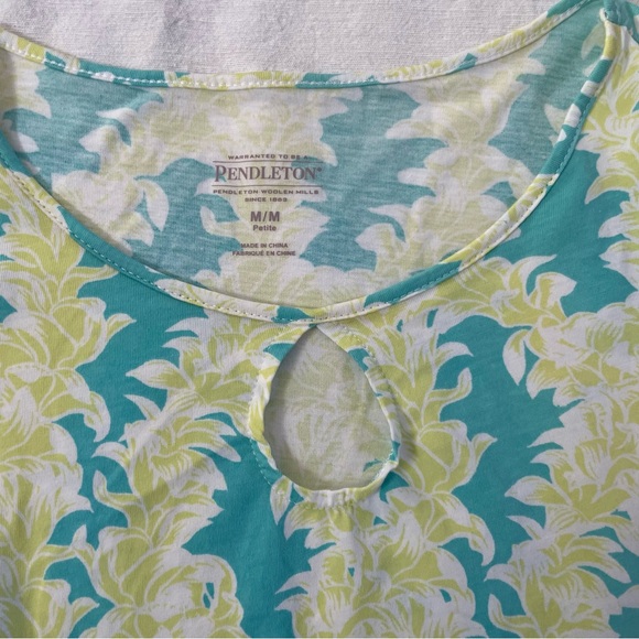 Pendleton long sleeve 100% cotton T-shirt. Turquoise and lime green. Size M - Picture 5 of 9